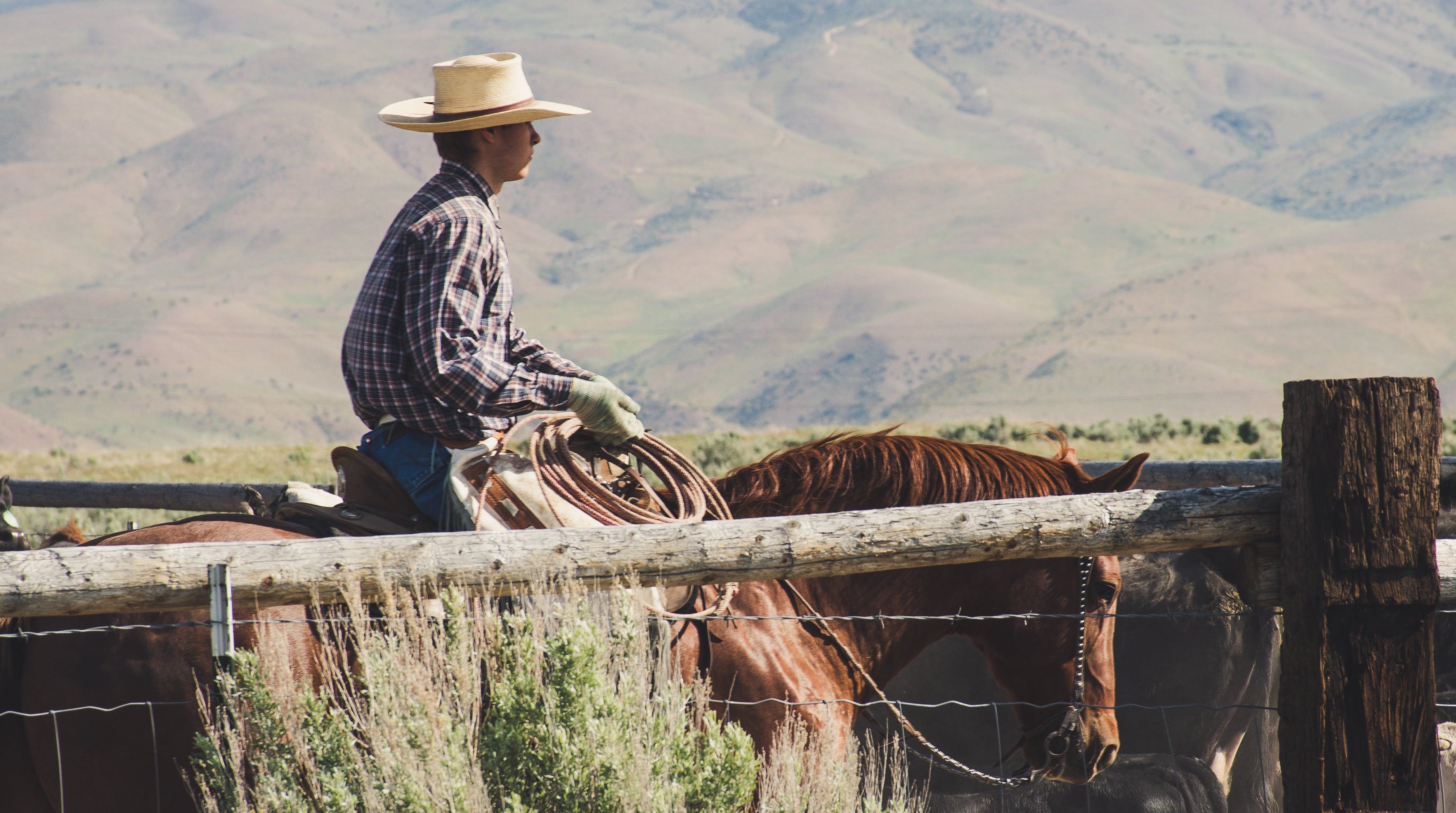 Leyoma Cowboy Apparel Parallax Banner – Modern Western Wear & Embroidered Pearl Snap Shirts